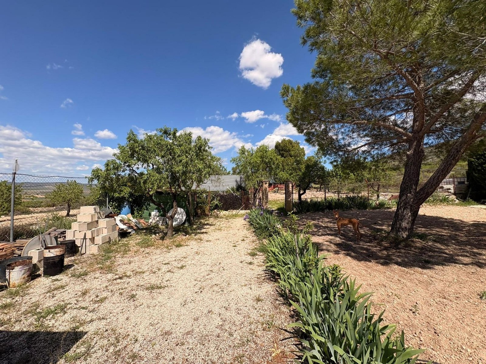 Villa with 3 Bedrooms and 4 Bathrooms in Yecla with Garden