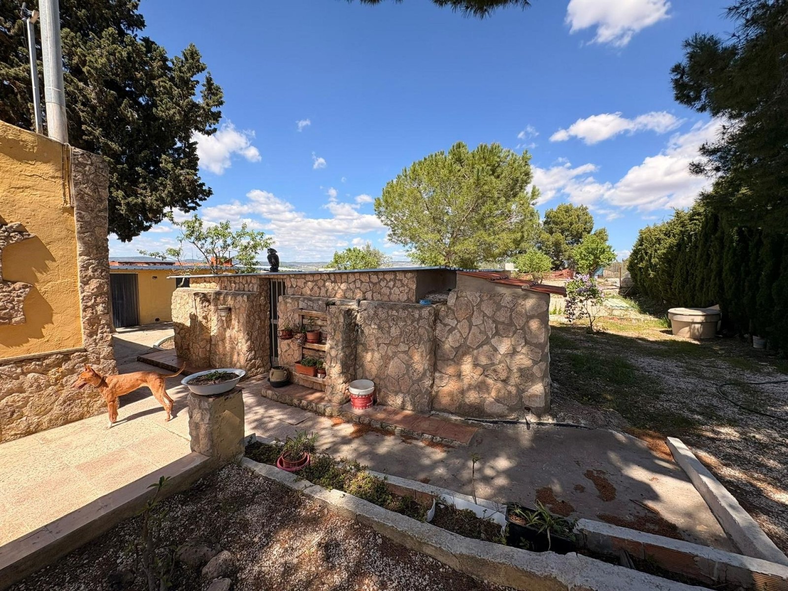 Villa with 3 Bedrooms and 4 Bathrooms in Yecla with Garden