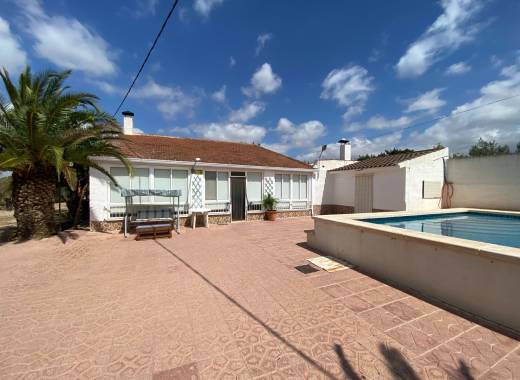 Finca - Venta - Sax - Sax